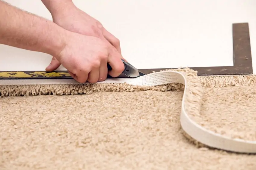 Carpet Maintenance